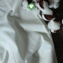 Cotton 30'S Organic Rfd