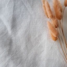 Linen Modal [LModal]