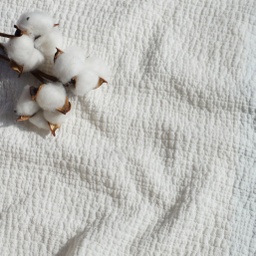 [P54C985] Cotton Blanket Double Face