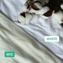 Cotton Organic 40'S knit