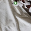 Cotton Lycra Organic 40'S Rfd